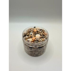 תערובת צדפים ליצירה